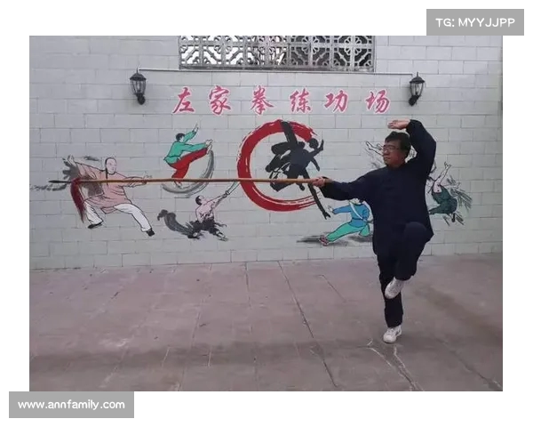 探寻中国传统武术的精髓与文化传承：从拳法招式到精神内涵的深度解读